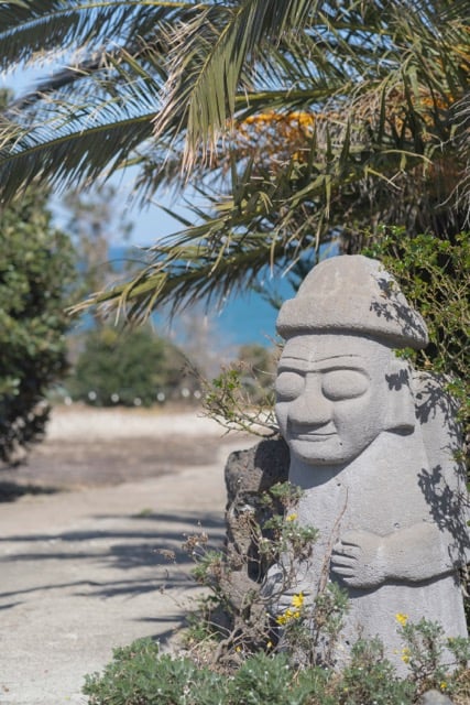 Jeju Island Travel Guide 2026: Everything You Need to Know