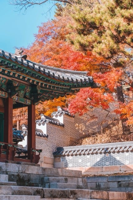 koreanautumn